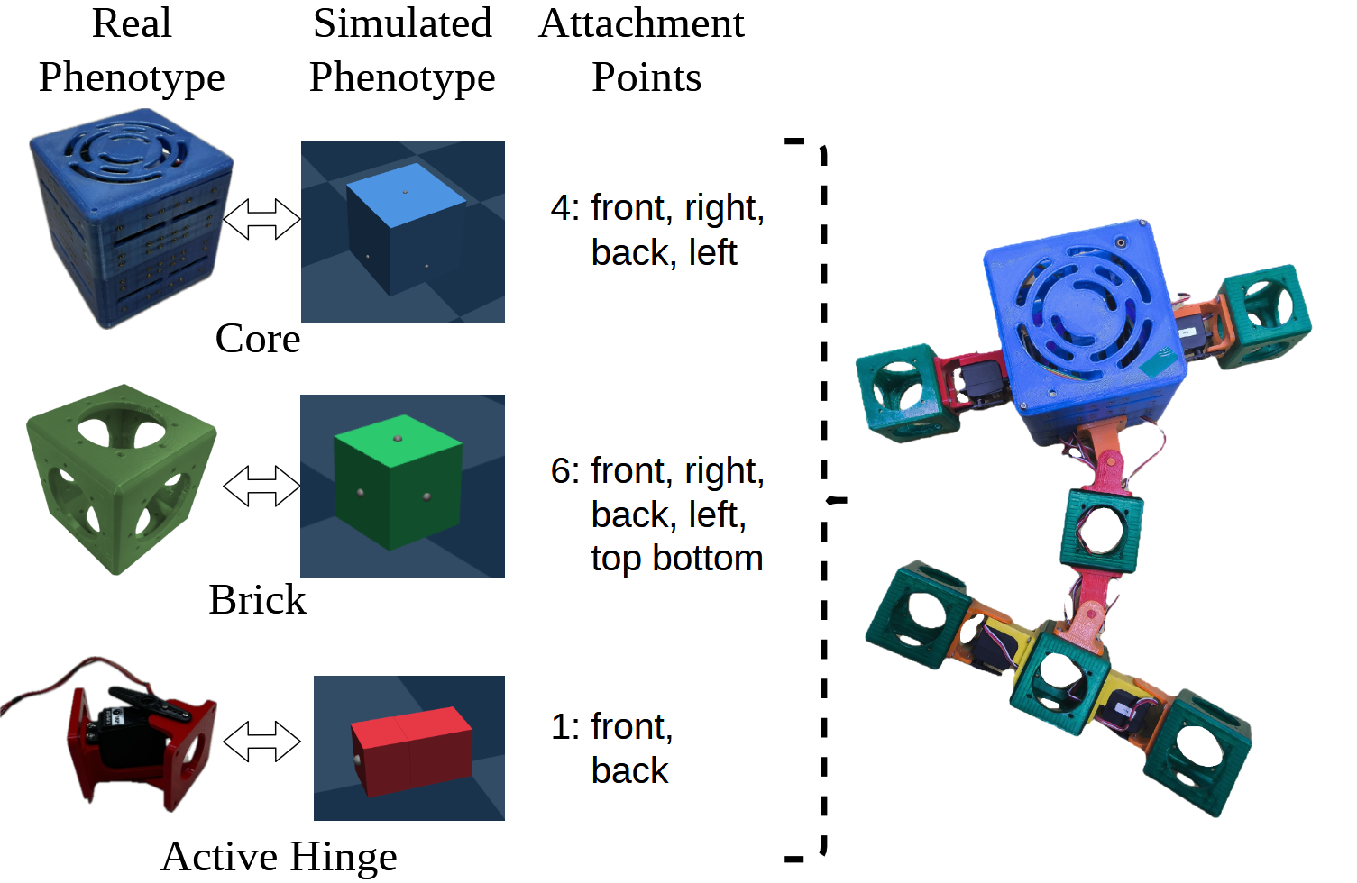 A V2 modular robot